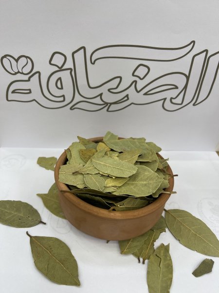 ورق غار