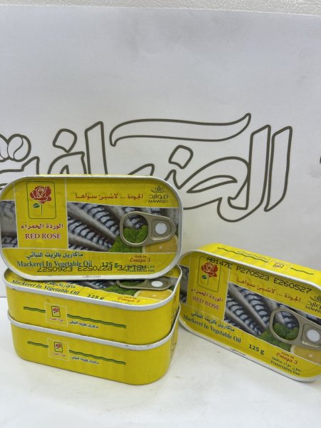 سمك ماكريل